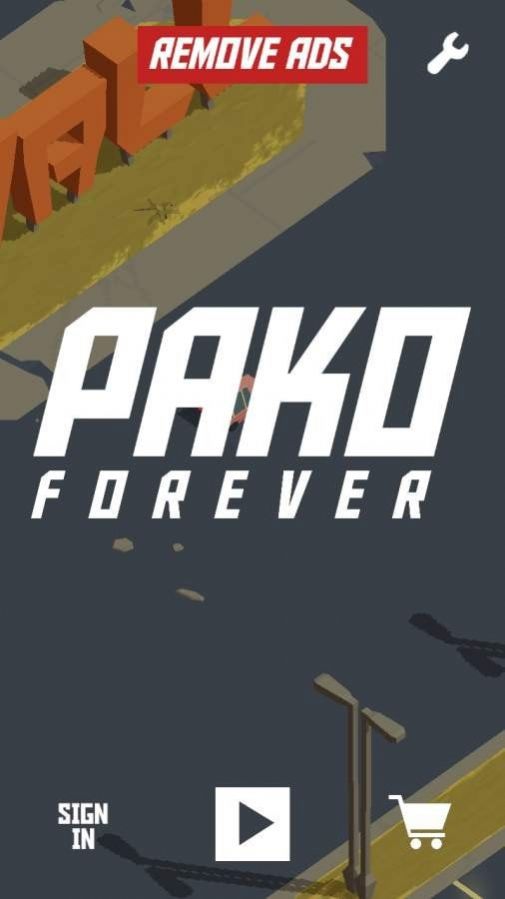 无尽逃离游戏安卓版（PAKO Forever）图1: