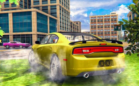 街道开车模拟游戏官方版(Drive Car Simulator)图1: