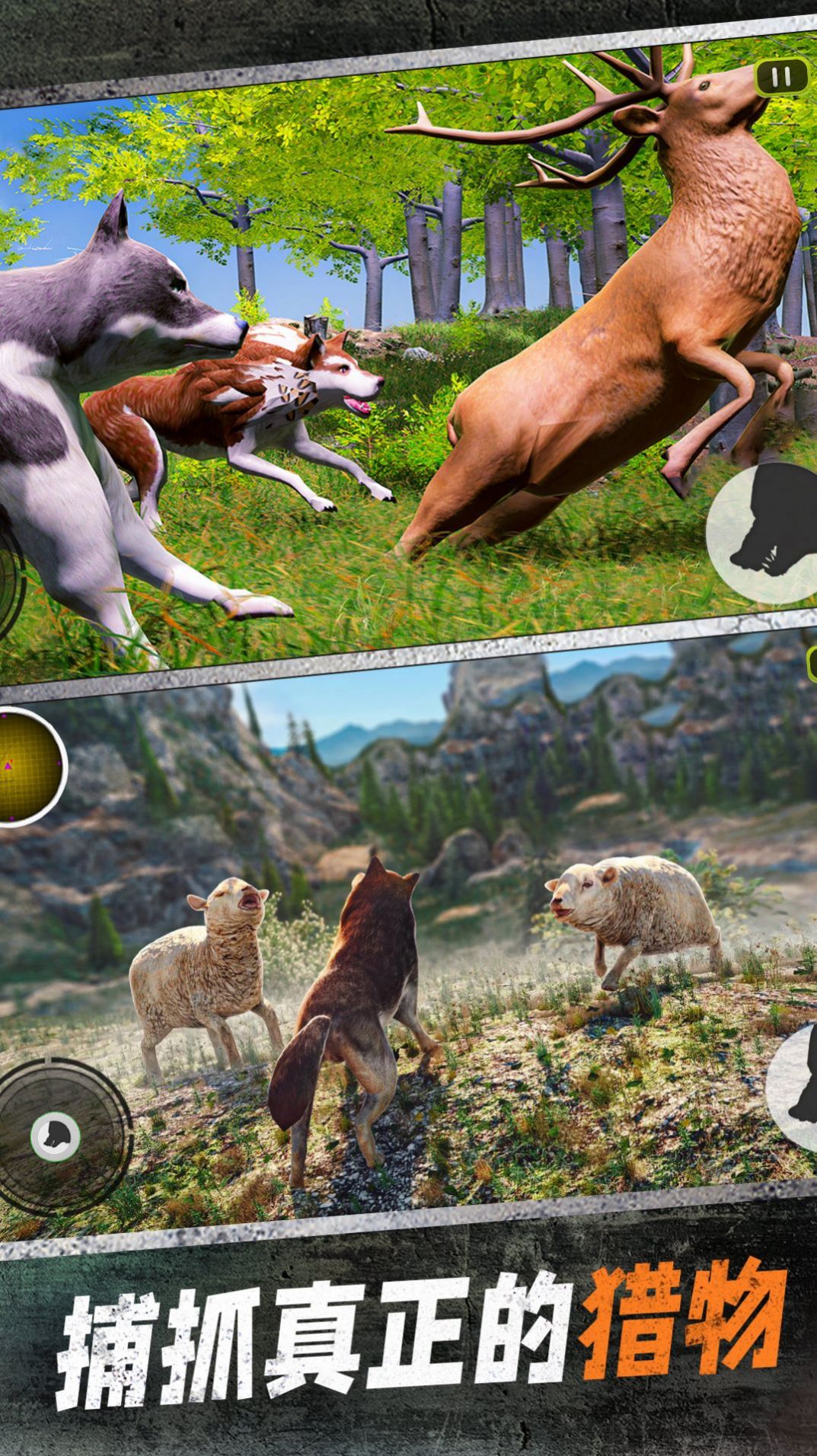 野狼模拟3D游戏最新手机版图3: