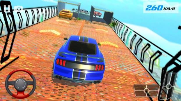 坡道汽车特技赛车3D游戏官方安卓版图1: