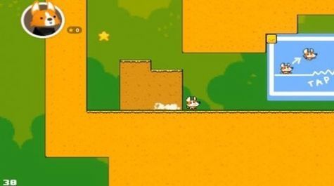 神奇柯基犬世界游戏安卓版图2: