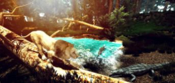 野生狮子动物生存游戏最新中文版图3: