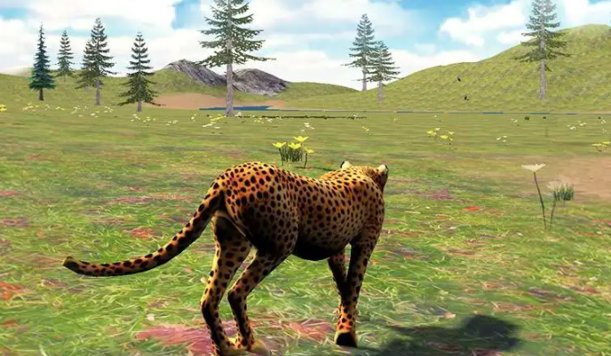 猎豹模拟器游戏下载_终极猎豹模拟器3d_2022猎豹模拟器中文版