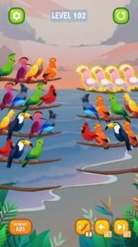 鸟类分类颜色谜题游戏安卓版（Bird Sort Color Puzzle）图1: