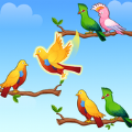 鸟类分类颜色谜题游戏