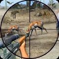 野外动物射击游戏