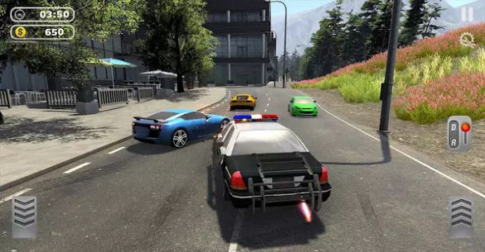 美国城市警车追逐游戏安卓版图3: