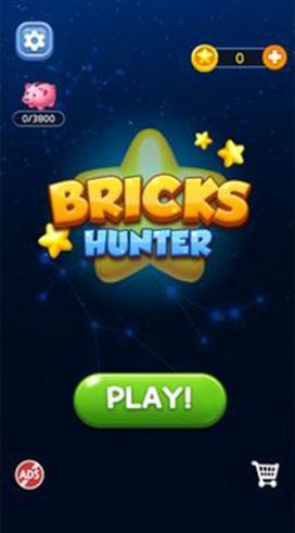 积木猎手游戏安卓版（Bricks Hunter）图2: