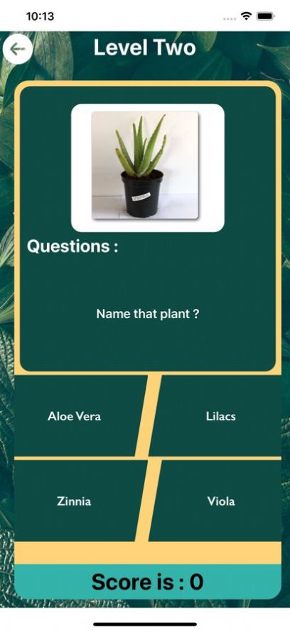 所有关于植物拍照识物app官方下载图2: