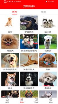 GK01宠物百科知识app下载图4: