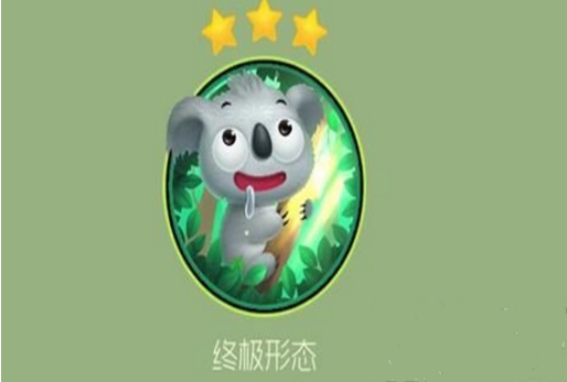 球球大作战考拉宝宝随碎片怎么获得[图]