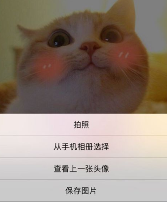 微信如何查看上一张头像[图]